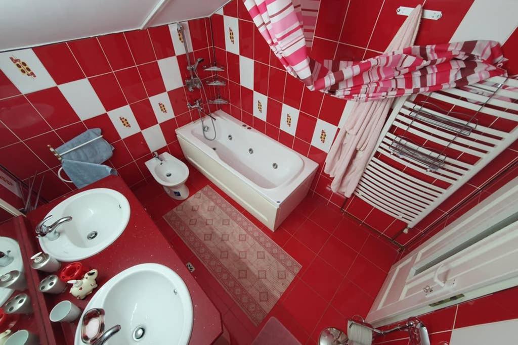 דירות Sebeş Casa Frizerului - Pets Allowed For Free & Moto Friendly מראה חיצוני תמונה