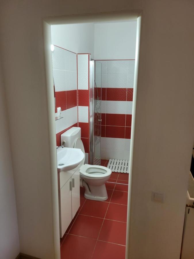 דירות Sebeş Casa Frizerului - Pets Allowed For Free & Moto Friendly מראה חיצוני תמונה